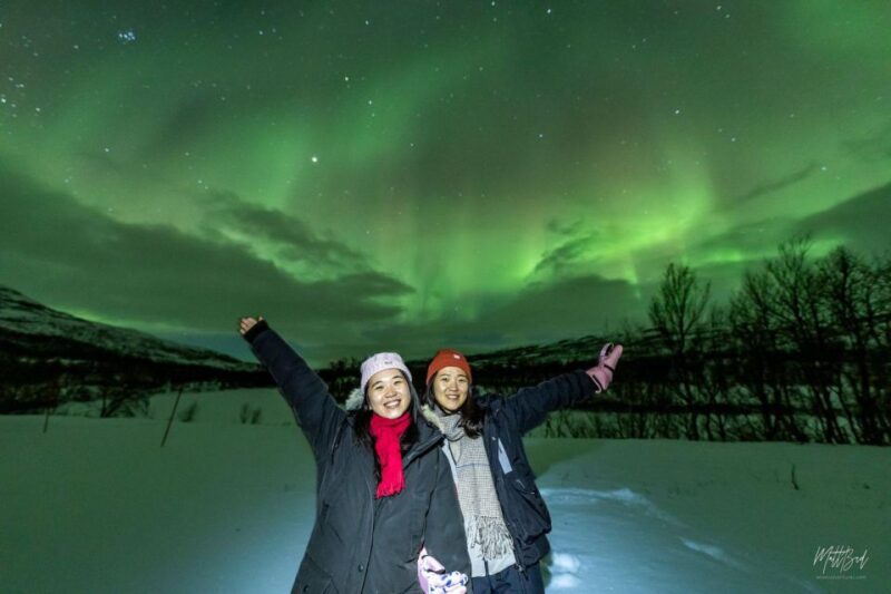 From Tromsø: Northern Lights Chase With Photos and Dinner - Key Points