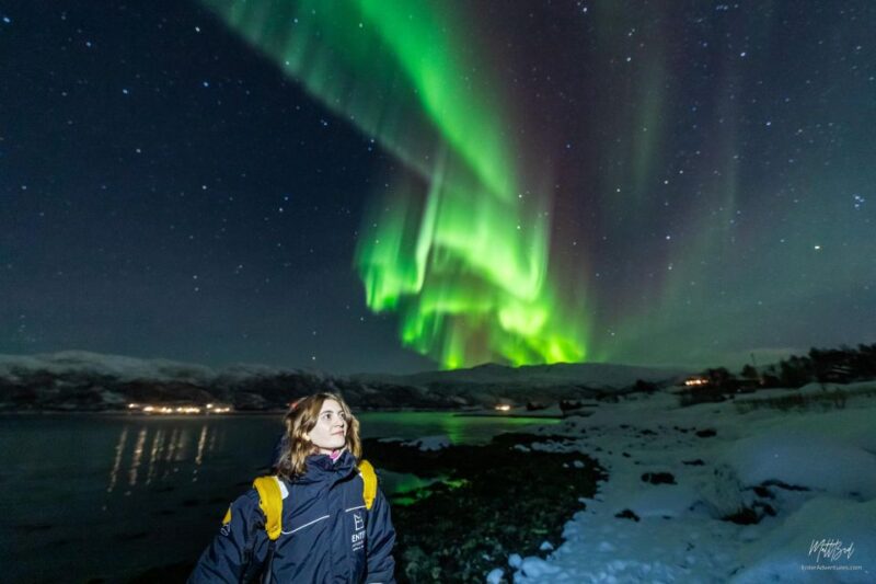 From Tromsø: Northern Lights Chase With Photos and Dinner - Itinerary and Highlights