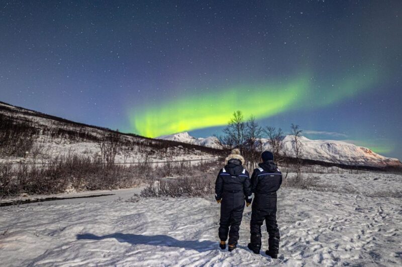 From Tromsø: Northern Lights Chase With Photos and Dinner - Customer Ratings