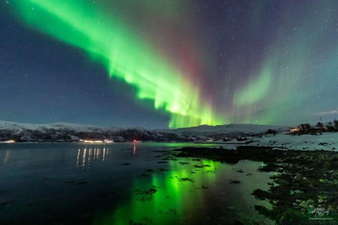 From Tromsø: Northern Lights Chase With Photos and Dinner - Cancellation Policy