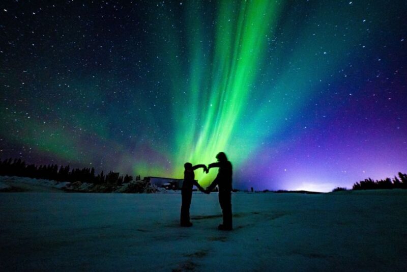 From Tromsø: Northern Lights Experience - Tour Experience