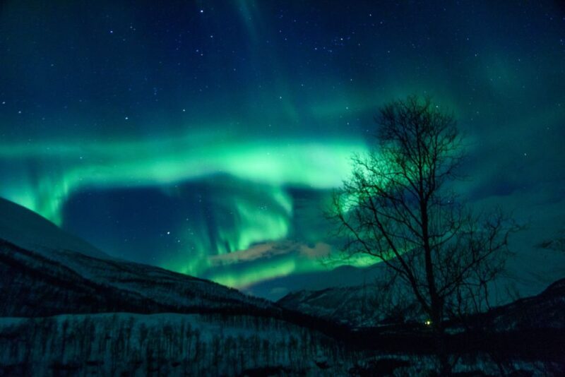 From Tromsø: Northern Lights Guided Bus Chase - Activity Highlights