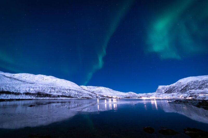 From Tromsø: Northern Lights Guided Bus Chase - Included Amenities