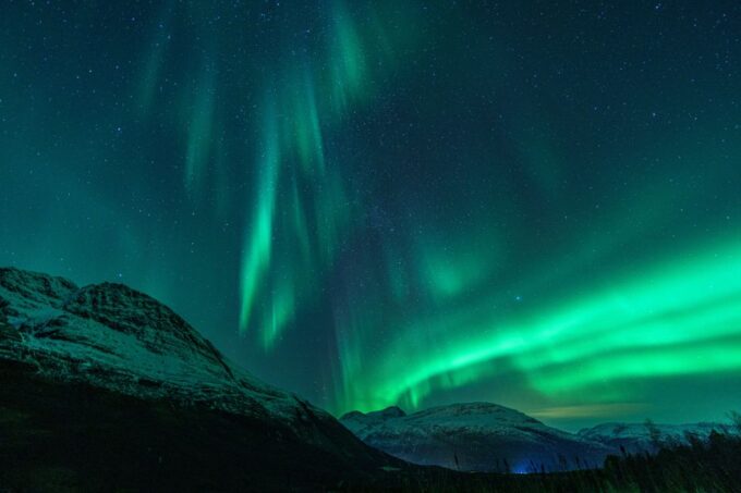 From Tromsø: Northern Lights Guided Bus Chase - Customer Ratings and Feedback