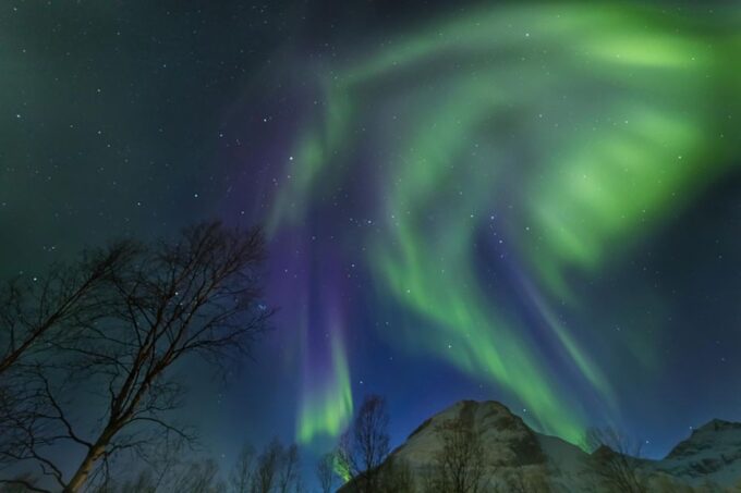 From Tromsø: Northern Lights Guided Bus Chase - Flexible Duration and Cancellation