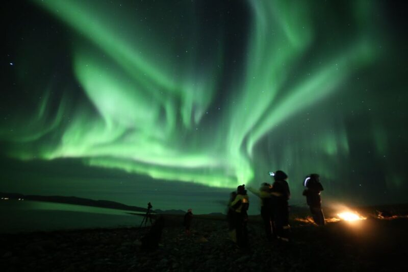 From Tromso: Northern Lights Photography Tour - Key Points
