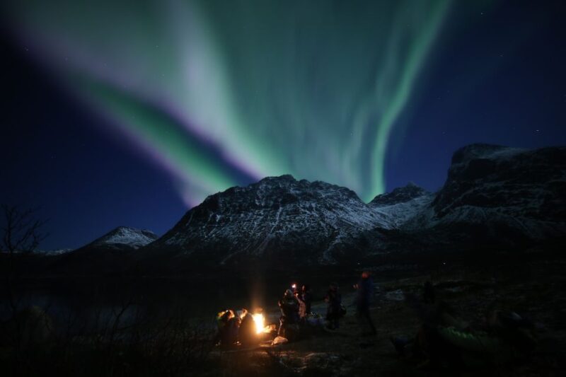 From Tromso: Northern Lights Photography Tour - Customer Reviews and Ratings