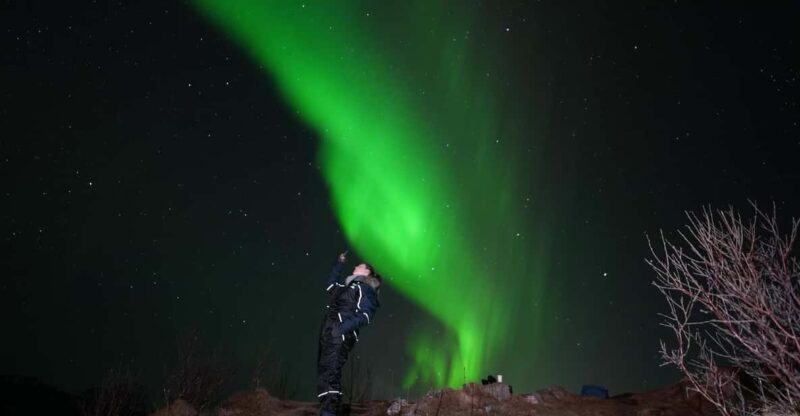 From Tromsø: Northern Lights Tour With Hot Drinks and Photos - Itinerary Details