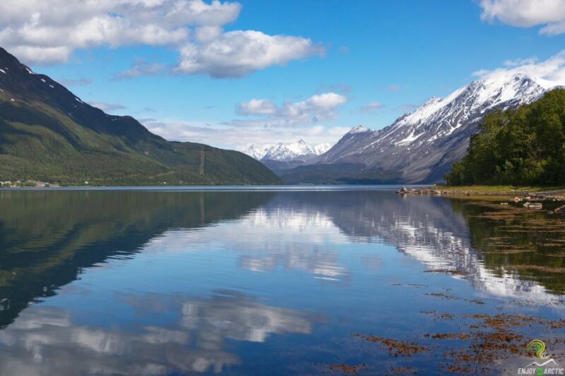 From Tromso: Norwegian Fjords Half-Day Tour - Included Services