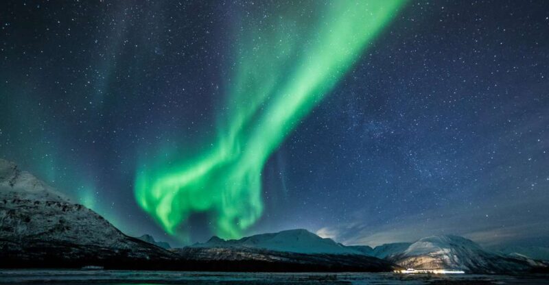 From Tromsø: Overnight Northern Lights & Whale Watching Tour - Experience Highlights