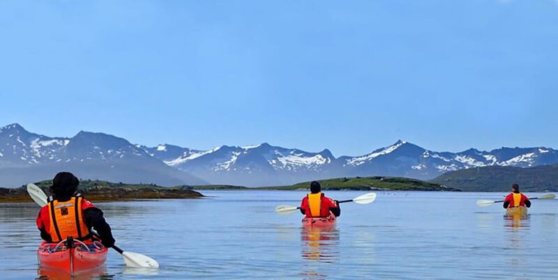 From Tromsø: Sea Kayaking Tour at Sommarøy With Transfer - Experience Highlights
