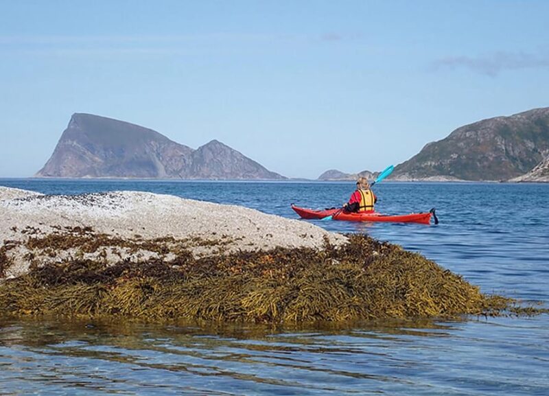From Tromsø: Sea Kayaking Tour at Sommarøy With Transfer - Itinerary and Activities