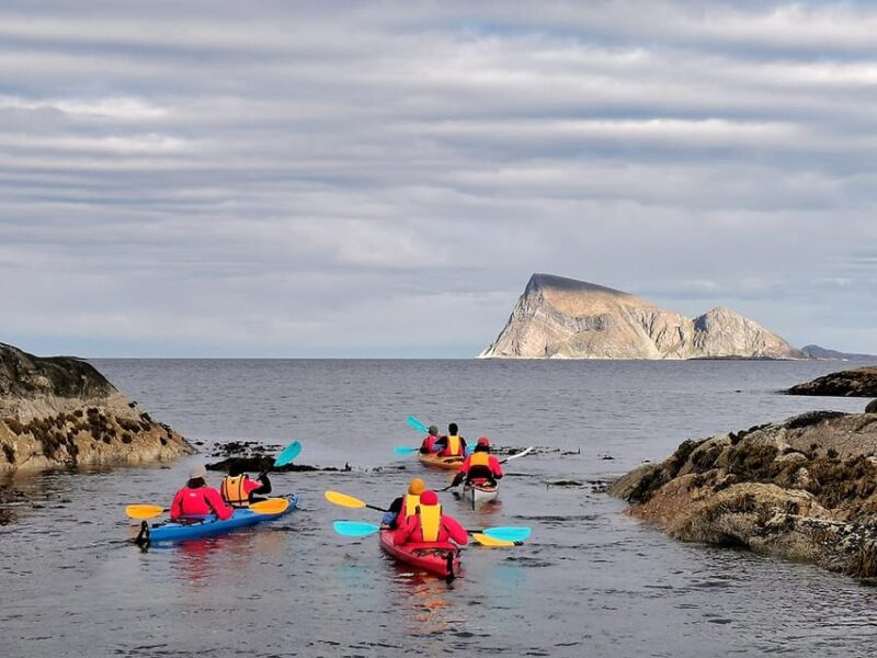 From Tromsø: Sea Kayaking Tour at Sommarøy With Transfer - Important Information