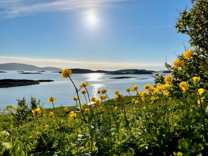 From Tromsø: Sea Kayaking Tour at Sommarøy With Transfer - Transfer to Sommarøy