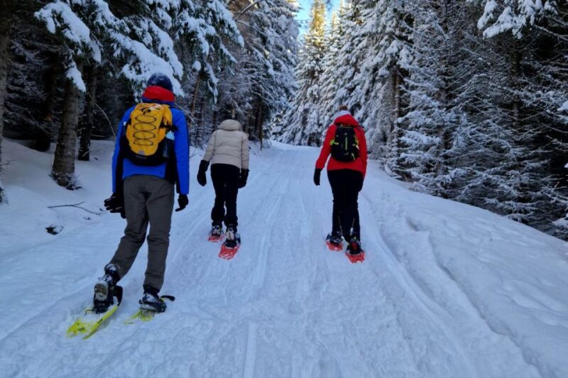 From Tromsø: Snowshoe Hike in the Arctic - Itinerary and Experience