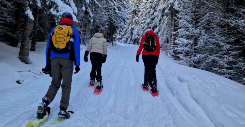 From Tromsø: Snowshoe Hike in the Arctic - Inclusions and Amenities