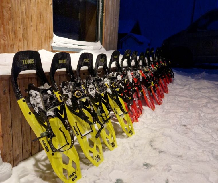 From Tromsø: Snowshoe Hike in the Arctic - Exploring the Arctic Landscape