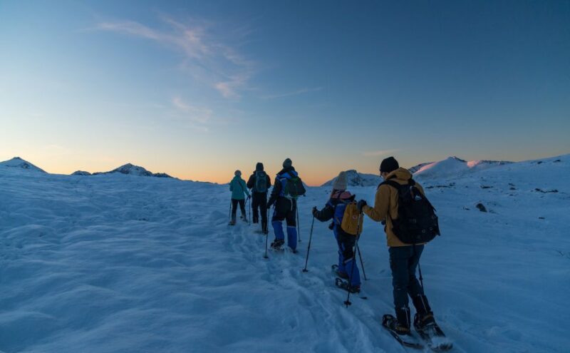From Tromsø: Snowshoeing Hike With Picnic Lunch and Photos - Key Points