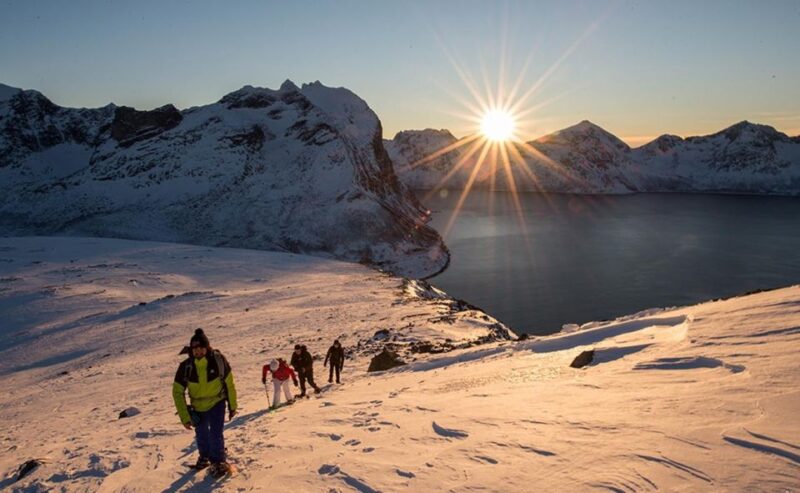 From Tromsø: Snowshoeing Hike With Picnic Lunch and Photos - Pricing and Booking