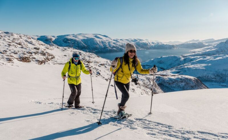 From Tromsø: Snowshoeing Hike With Picnic Lunch and Photos - Itinerary Highlights