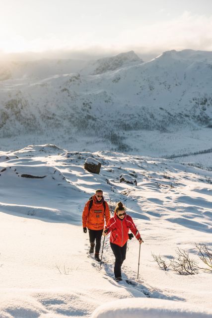 From Tromsø: Snowshoeing Hike With Picnic Lunch and Photos - Included in the Tour