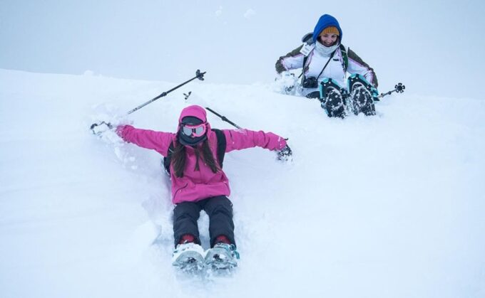 From Tromsø: Snowshoeing Hike With Picnic Lunch and Photos - Group Size and Guide