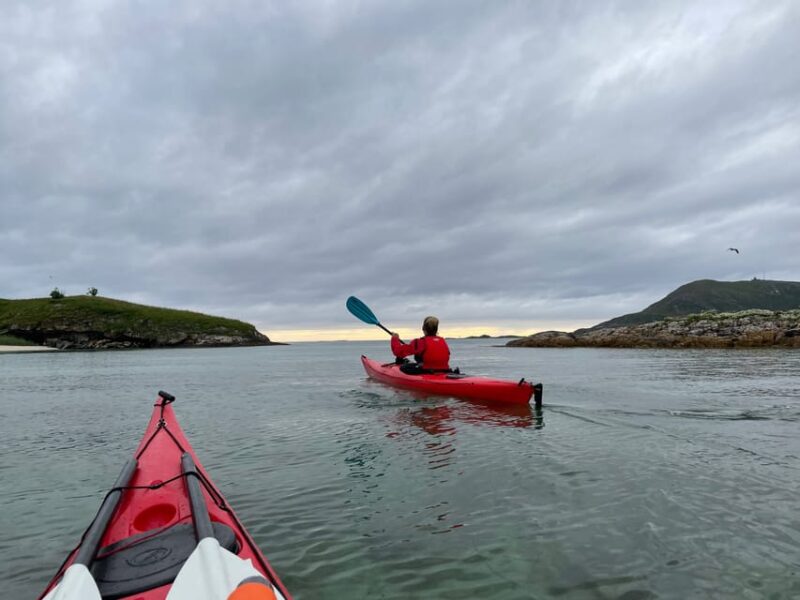 From Tromsø: Sommarøy Midnight Sun Sea Kayaking Tour - Customer Ratings and Feedback