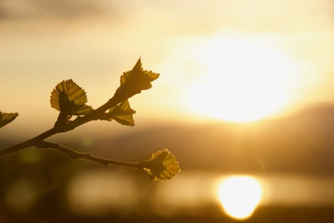 From Tromsø: Sommarøy Midnight Sun Sea Kayaking Tour - Kayaking Under the Midnight Sun