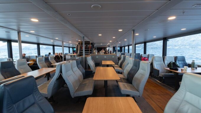 From Tromsø: Whale Watching Safari on High-Speed Catamaran - Frequently Asked Questions