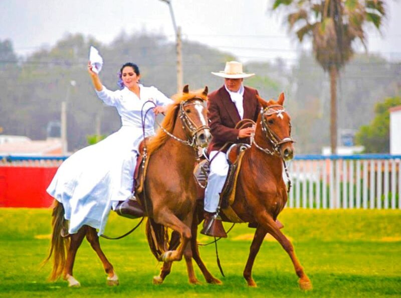 From Trujillo: Full Day With Paso Horses and Sailor Show - Itinerary Highlights