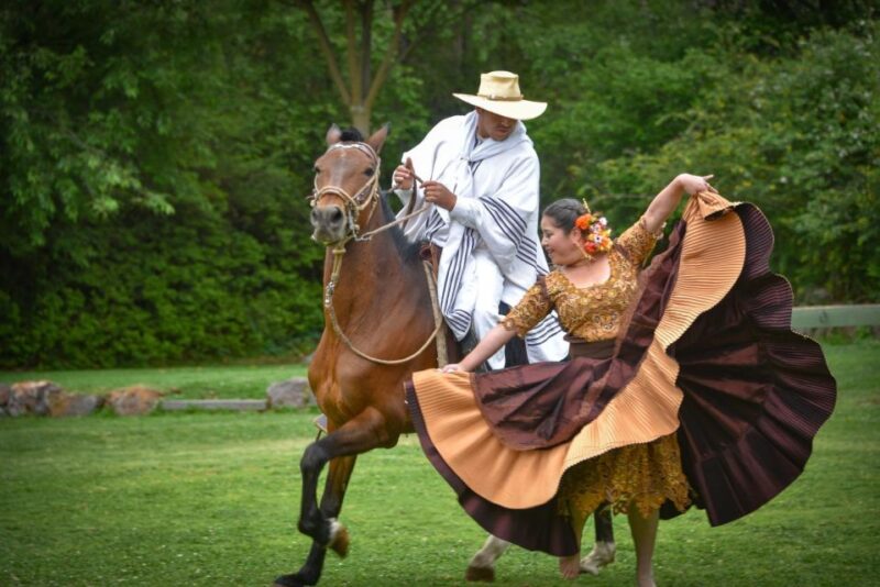 From Trujillo | Marinera Show With Peruvian Paso Horses - Key Points