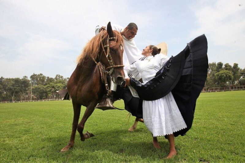 From Trujillo | Marinera Show With Peruvian Paso Horses - Duration and Cost
