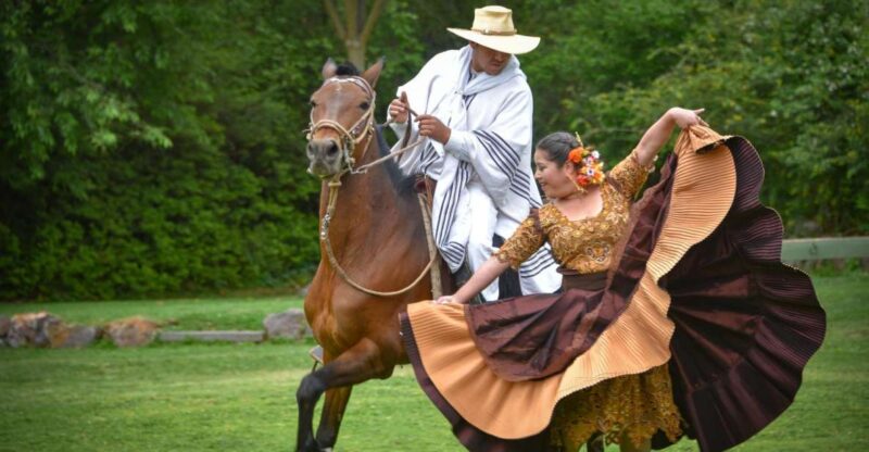 From Trujillo | Marinera Show With Peruvian Paso Horses - Tour Guide Availability