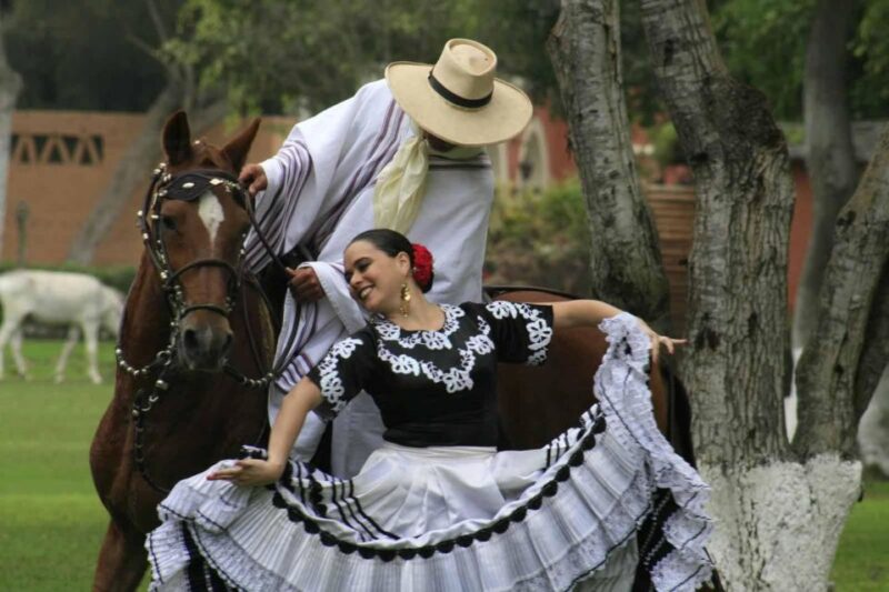 From Trujillo | Marinera Show With Peruvian Paso Horses - Group Size Limit