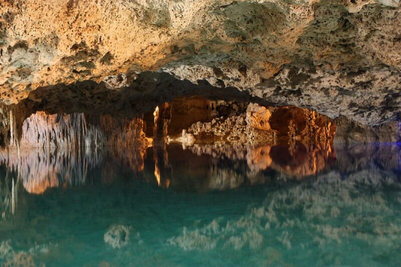 From Tulum: ATV Ride With Monkey Sanctuary and Cenote Trip - Experience Highlights