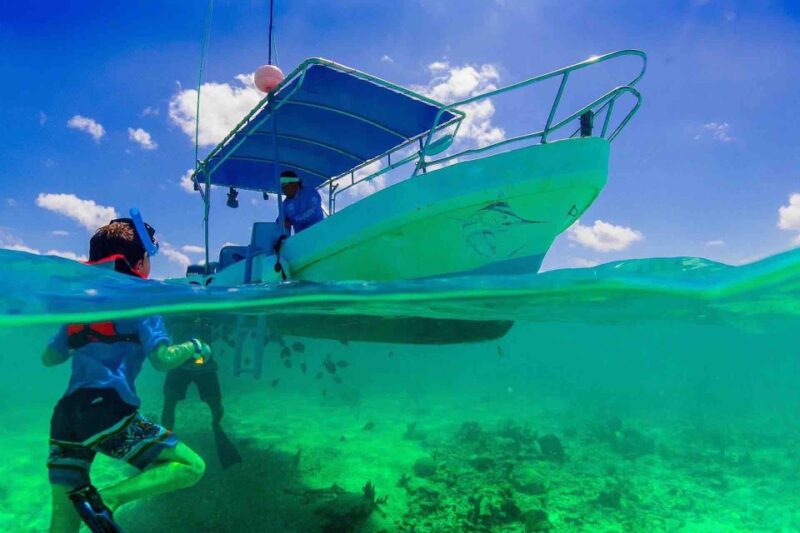From Tulum: Cenote Riviera Maya & Snorkel Excursion - Activity Details