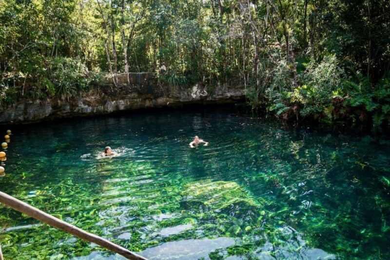 From Tulum: Four-Cenote Adventure - Cenotes Visited