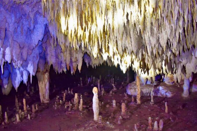 From Tulum: Punta Laguna Nature Reserve, Cenote & Cobá Tour - Inclusions and Essentials
