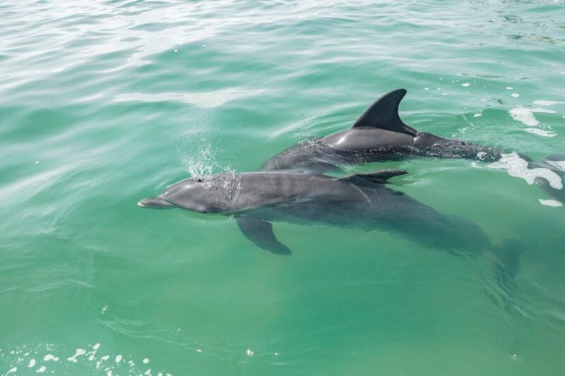 From Tulum: Sian Kaan Boat Trip Adventure With Lunch - Tour Inclusions