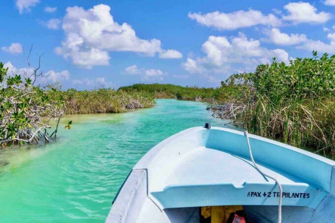 From Tulum: Sian Ka'an Day Tour - Exploring Bird Colonies