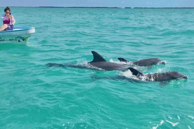 From Tulum: Sian Ka'an Day Tour - Relaxing at the Sandbar