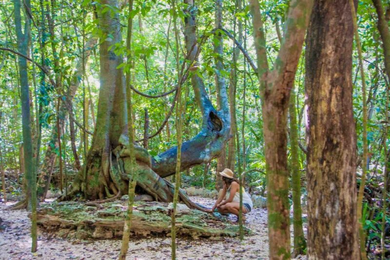 From Tulum: Sian Ka'An Muyil Lagoon Tour - Key Points