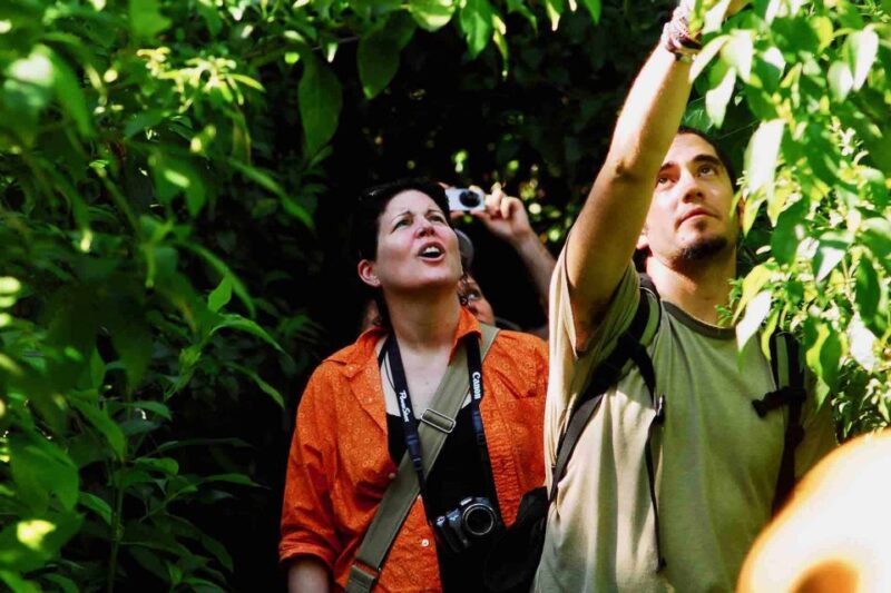 From Tulum: Sian Ka'An Muyil Lagoon Tour - Experience Highlights