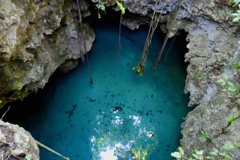 From Tulum: Temazcal & Cenote Private Experience - Ceremony Details