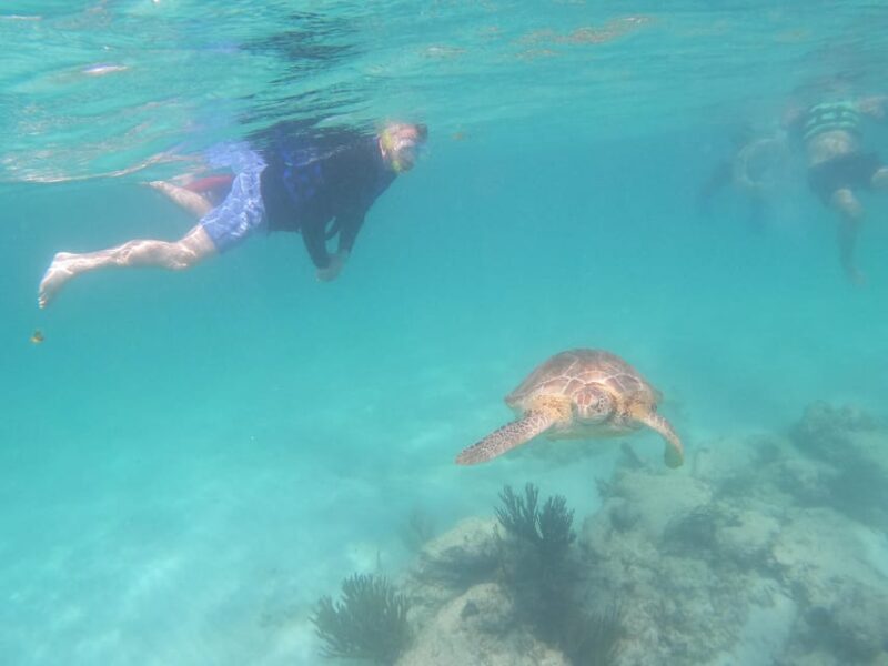 From Tulum: Tulum Ruins, Turtle Snorkeling and GoPro Fotos - Guided Tour of Tulum Ruins