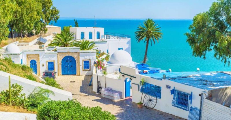 From Tun or Hammamet: Day Trip to Sidi Bou Said and Carthage - Key Points
