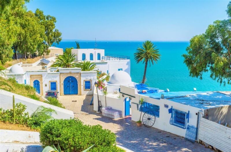 From Tun or Hammamet: Day Trip to Sidi Bou Said and Carthage - Pricing and Booking Information