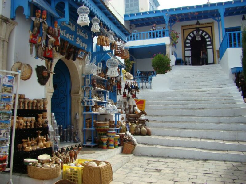 From Tun or Hammamet: Day Trip to Sidi Bou Said and Carthage - Tour Inclusions and Exclusions