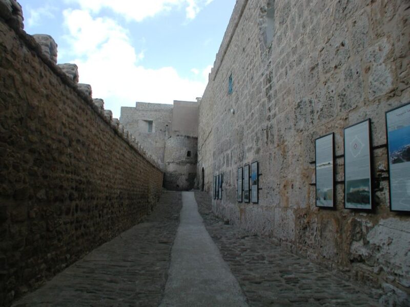 From Tunis: Full-Day Cape Bon Tour With Lunch - Key Points