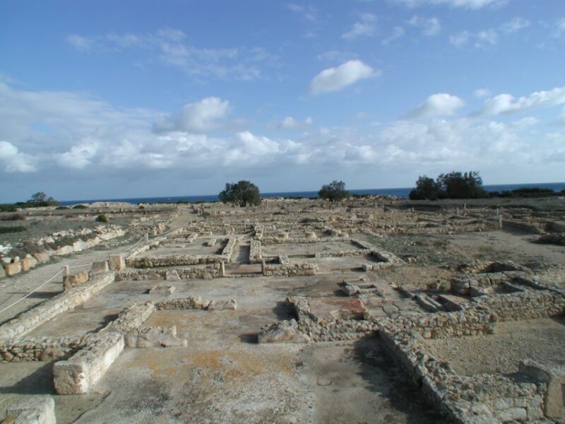 From Tunis: Full-Day Cape Bon Tour With Lunch - Highlights of the Day